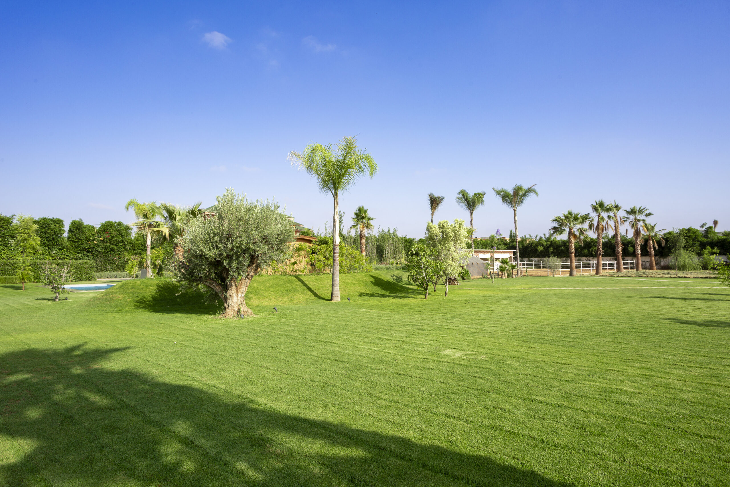 La Villa Olympus
